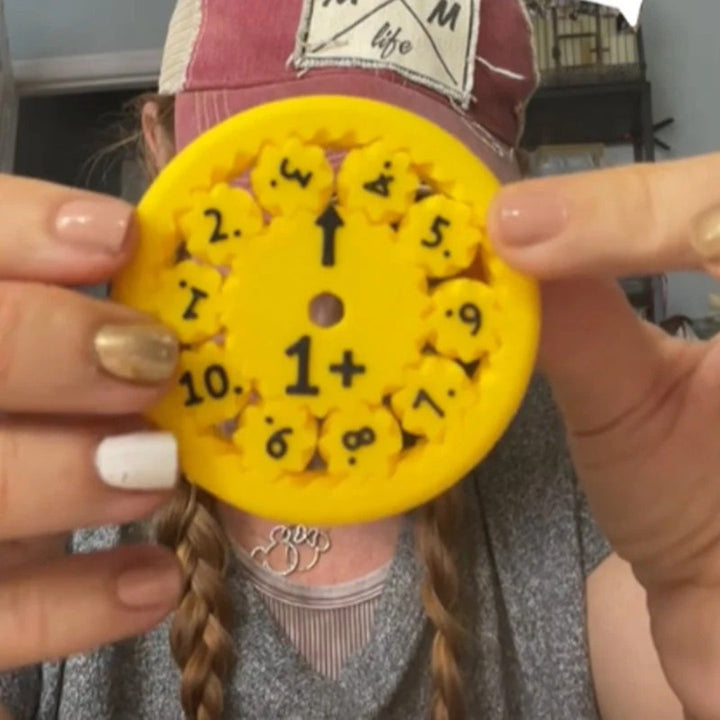 Counting Spinner Set - Educational Math Toy