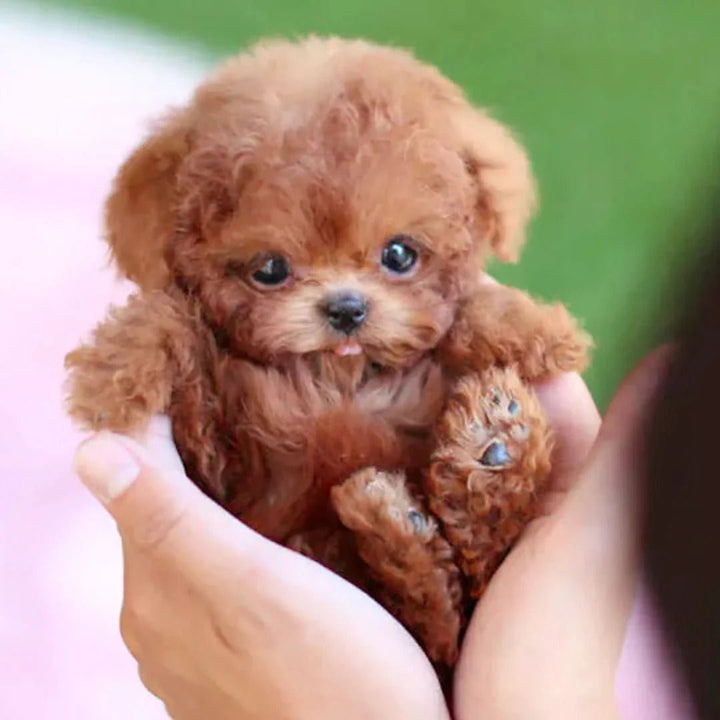 Interactive Plush Toy Dog – Moving Stuffed Animal