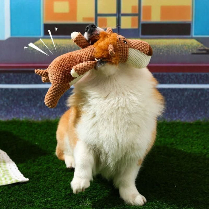 Durable Chew Toy for Dogs of All Sizes – Indestructible Design