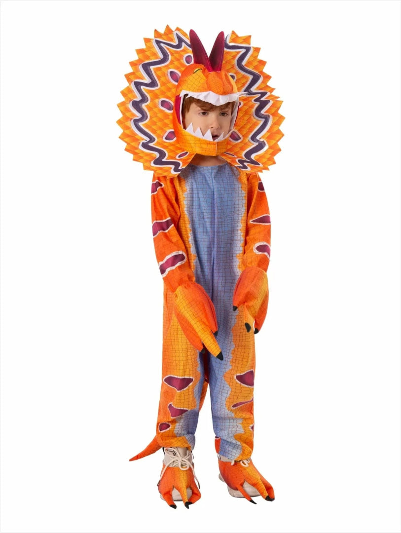 Kids' Dinosaur Costume Outfit