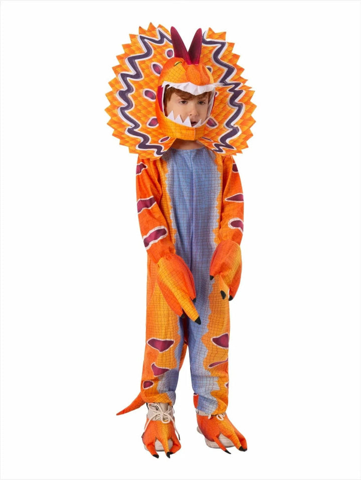 Kids' Dinosaur Costume Outfit