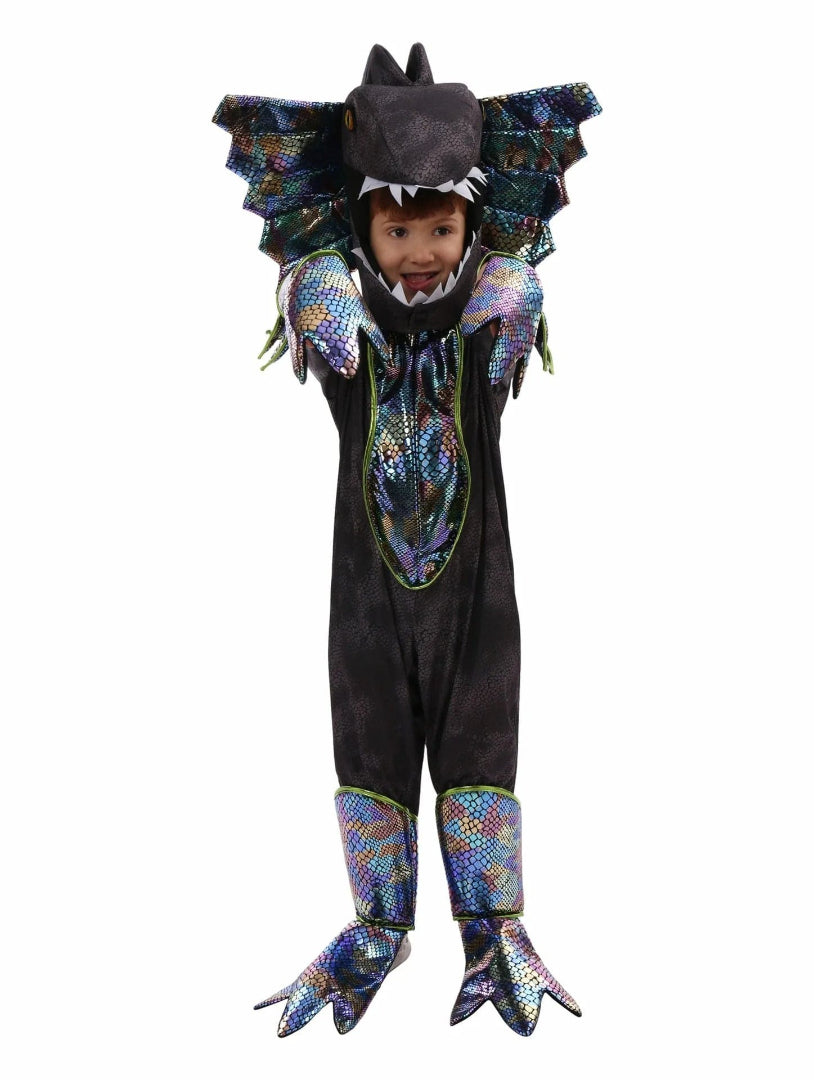 Kids' Dinosaur Costume Outfit