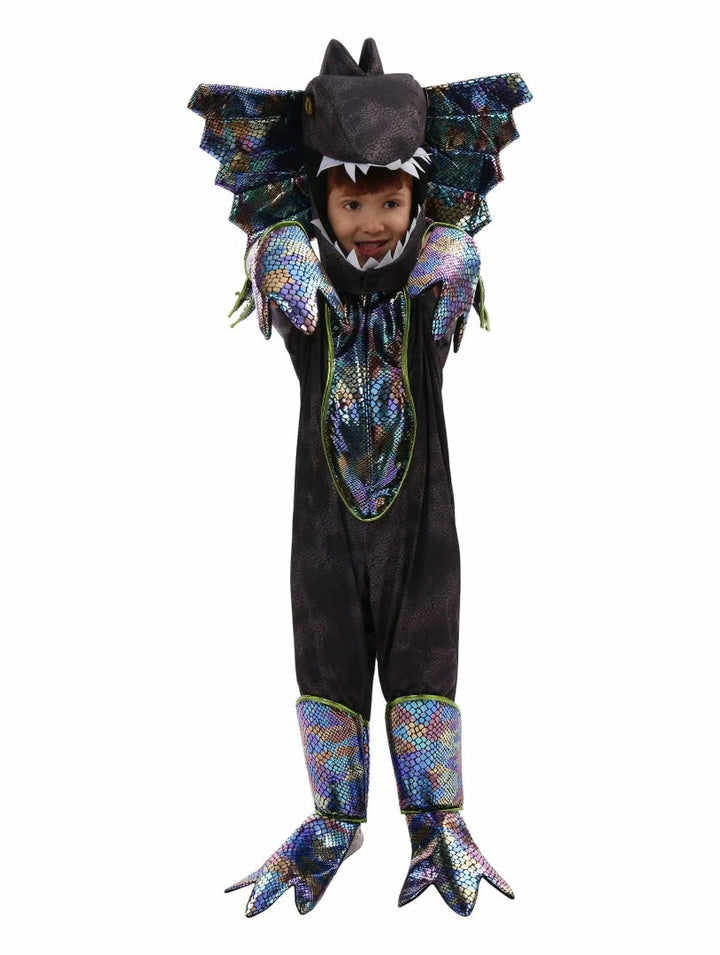 Kids' Dinosaur Costume Outfit